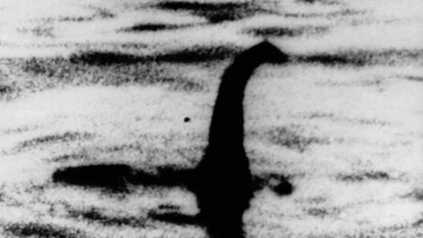 Scientists to Use DNA in Search for Loch Ness Monster | The EFL SMARTblog Scoop.it Page | Scoop.it