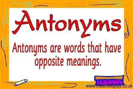 antonyms antonym synonyms homonyms madamwar