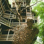 The Minister’s Treehouse: A 100ft Tall Church Built Over 11 Years without Blueprints | Colossal | Architecture Geek | Scoop.it