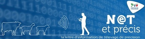Net et précis : la lettre d'information de l'élevage de précision | Lait de Normandie... et d'ailleurs | Scoop.it