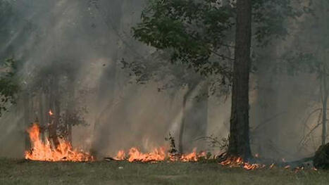 Mississippi Forestry Commission combats challenges with manpower and ongoing wildfires - WAPT | Operation Deimos | Scoop.it