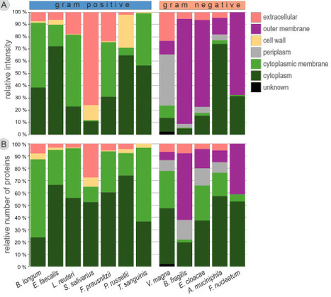 Proteomic characterization of extracellular vesicles from 12 commensal bacterial species | brvm | RMH | Scoop.it
