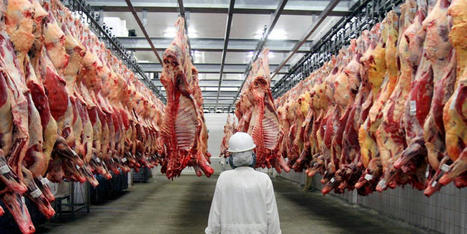 Tchad: vers le lancement d’une nouvelle unité de transformation de la viande « LAHAM TCHAD » | La Gazette des abattoirs | Scoop.it