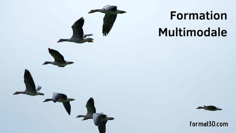 Formation &agrave; distance pour adultes : l'avenir est multimodal | Formation : Innovations et EdTech | Scoop.it