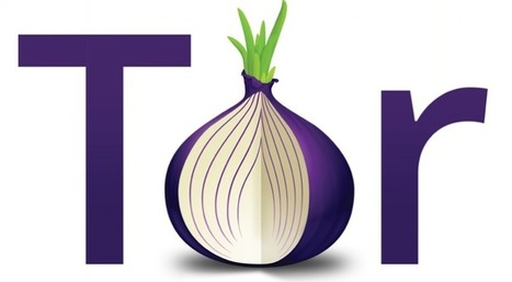 Traffic in Tor network is being sniffed in the exit nodes | ICT Security-Sécurité PC et Internet | Scoop.it