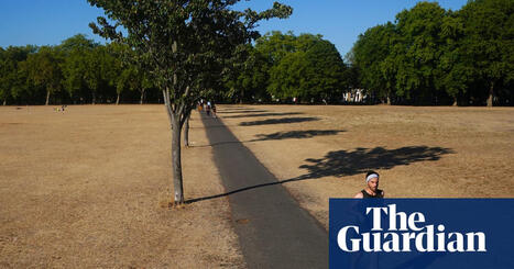 Reduced physical activity due to global heating will lead to rise in health issues, study says | Climate crisis | by&nbsp;Chlo&eacute; Farand | TheGuardian.com | @The Convergence of ICT, the Environment, Climate Change, EV and HEV Transportation & Distributed Renewable Energy | Scoop.it