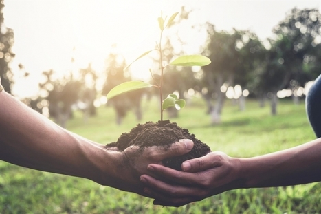 Let’s #StopSoilErosion to ensure a food secure future | FAO Stories |  | Stage 5 Sustainable Biomes | Scoop.it