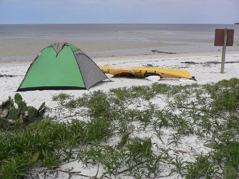 Everglades Backcountry Camping: A Guide to Adventure | cheapfishingkayaks | Scoop.it