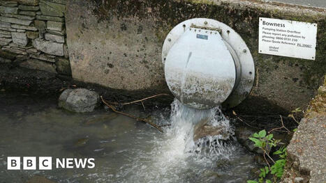 Sewage spill investigation extended to all water firms | Microeconomics: IB Economics | Scoop.it