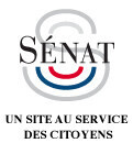 Parl. - Rod&eacute;os motoris&eacute;s et rave parties ill&eacute;gales : 28 propositions pour mieux les pr&eacute;venir, les d&eacute;tecter et les r&eacute;primer | Politiques publiques et soci&eacute;t&eacute; | Scoop.it