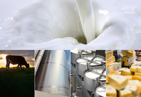 Rabobank - Dominos laitiers : Comment l’autosuffisance laitière croissante de la Chine remodèle le commerce mondial | Lait de Normandie... et d'ailleurs | Scoop.it
