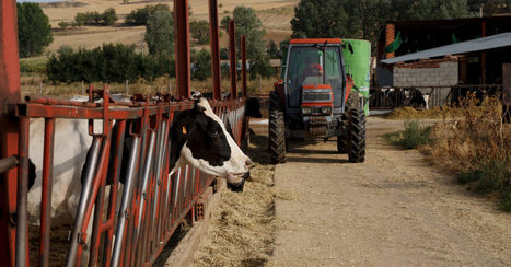 European farmers’ SOS | EUROPES | Scoop.it