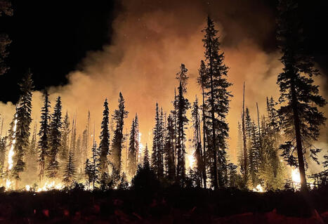 Trump&rsquo;s Latest Death Agenda For Americans: Wildfires And Smoke - CrooksAndLiars.com | Operation Deimos | Scoop.it
