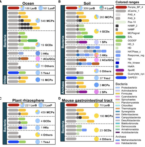 A global perspective on autoinducer-2-mediated cell communication in prokaryotes | iSci | RMH | Scoop.it
