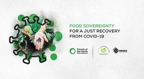 Food Sovereignty for a Just Recovery from COVID-19 - Friends of the Earth | Agroecologie et Syst&egrave;mes Alimentaires Durables | Scoop.it