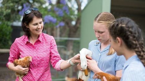 Regenerative agriculture for students launched in Australian-first curriculum to maintain healthy soils - ABC Rural - ABC News | Global Sustainable Development Goals in Education | Scoop.it