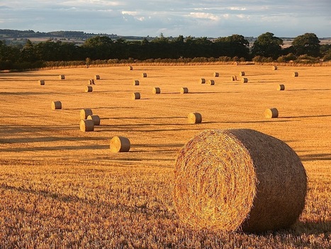 Migration is a big chance for the European agriculture of tomorrow | RESSOURCES | Scoop.it