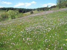 La simplification de la gestion des espaces naturels en question | Au fil des Associations | Scoop.it