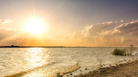 Experts on alert as temperatures creep into triple digits in February - The Cool Down | Operation Deimos | Scoop.it