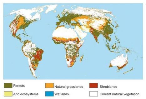 Restaurer certains écosystèmes permettrait de préserver la biodiversité et le climat | Environnement - Énergie | Scoop.it
