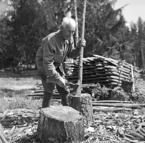 Kotimaisten kielten keskus :: Suomen murrekirja | 1Uutiset - Lukemisen tähden | Scoop.it