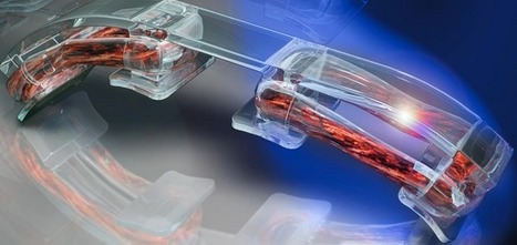 How to build your own bio-bot | Amazing Science | Scoop.it
