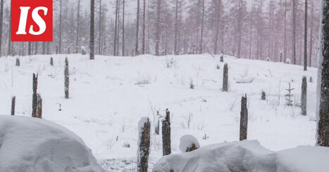 Varusmies kuollut Puolustusvoimien harjoitusalueella Kuhmossa | 1Uutiset - Lukemisen tähden | Scoop.it