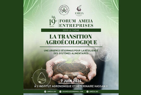 MAROC : AGRO-ÉCOLOGIE : 19e édition du FORUM AMEIA-ENTREPRISES | CIHEAM Press Review | Scoop.it