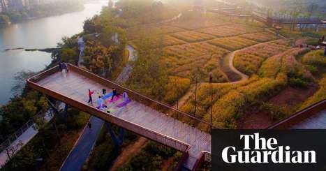 Turning cities into sponges: how Chinese ancient wisdom is taking on climate change | Art and design | The Guardian | Stage 5  Changing Places | Scoop.it