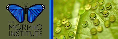 Septembre 2025 | RAINFOREST EXPLORER | Scoop.it