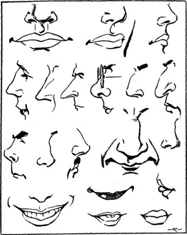 Drawing Faces & Head in Eyes, Nose, Mouth, Ears Brows : Proportions & Simple Measurements « How to Draw Step by Step Drawing Tutorials | Drawing and Painting Tutorials | Scoop.it