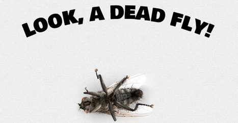 Las 5 páginas más inútiles de la Web | Programación Web desde cero | Scoop.it