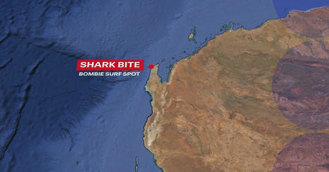 Shark Attack: Man in hospital after shark attack at popular WA surfing spot | Soggy Science | Scoop.it