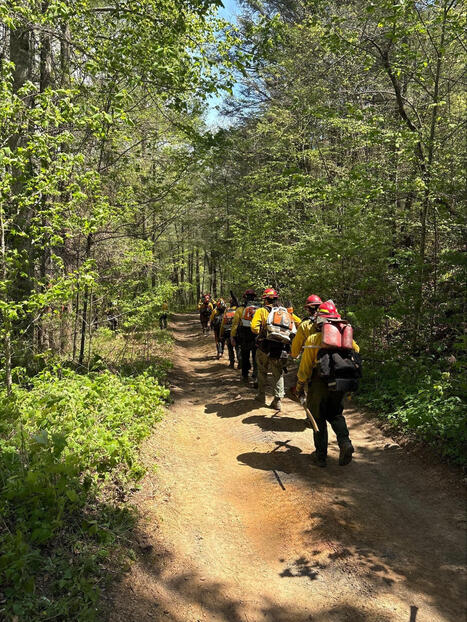 Polk County wildfire burning at nearly 450 acres, 0% contained - WDEF.com | Operation Deimos | Scoop.it