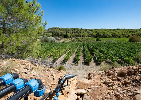 Le Grand Narbonne recycle ses eaux usées pour irriguer des vignes (11) | Regards croisés sur la transition écologique | Scoop.it