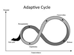 Cynefin, Panarchy, PDCA, OODA and value creation curves | Art of Hosting | Scoop.it