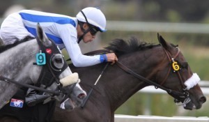 DEL MAR: Jockey Flores uses Twitter to deny cocaine use | Racing Regulatory Issues | Scoop.it