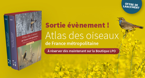 LA nouvelle r&eacute;f&eacute;rence des ornithologues fran&ccedil;ais | Biodiversit&eacute; | Scoop.it