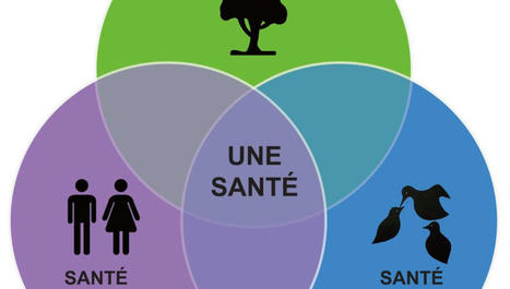 One Health : l'union fait la force | COVID-19 : Le Jour d'après et la biodiversité | Scoop.it