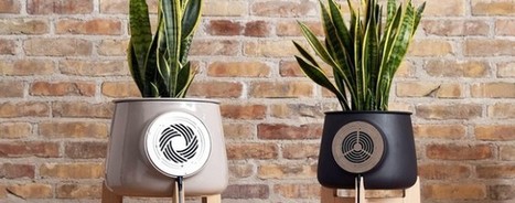 Le mag de la maison intelligente » Clairy : Purifier l’air de sa maison avec des plantes | Hightech, domotique, robotique et objets connectés sur le Net | Scoop.it