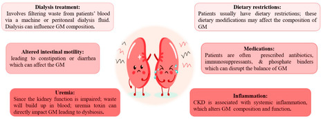 Clinical Perspectives of Gut Microbiota in Patients with Chronic Kidney Disease and End-Stage Kidney Disease: Where Do We Stand? | Peritoneal dialysis | Scoop.it
