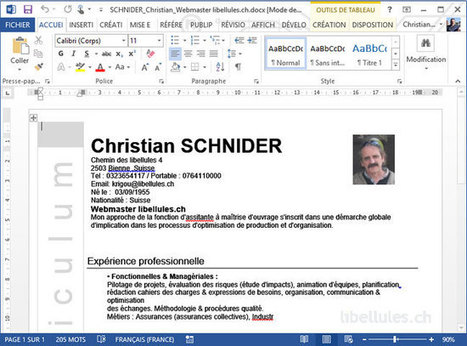 CVitae - R&eacute;digez puis diffusez votre Curriculum Vitae - Le blog de libellules.ch | CONNECTED! | Scoop.it