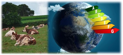 « L’élevage, c’est la solution pour capter le carbone » | Lait de Normandie... et d'ailleurs | Scoop.it