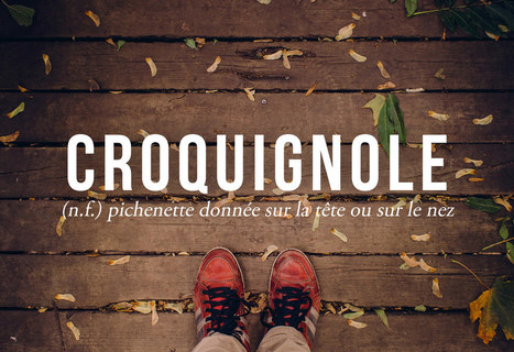 26 mots WTF qu'on devrait utiliser plus souvent en français | Social media | Scoop.it