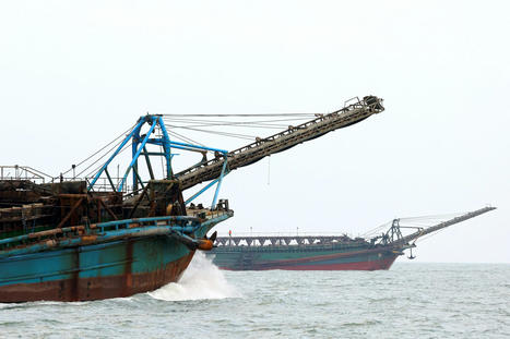 Sand Dredging is 'Sterilizing' Ocean Floor, UN Warns | Soggy Science | Scoop.it