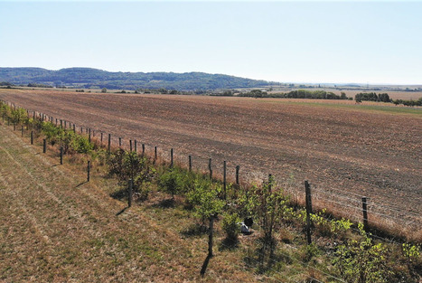 La Région Grand Est lance un appel à projets pour restaurer les réseaux écologiques | Vosges Info | La SELECTION du Web | CAUE des Vosges - www.caue88.com | Scoop.it