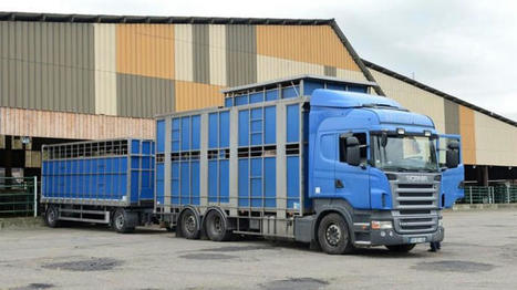 Les exports bovins de la France ont baissé en 2023, en viande comme en vif | Actualité Bétail | Scoop.it