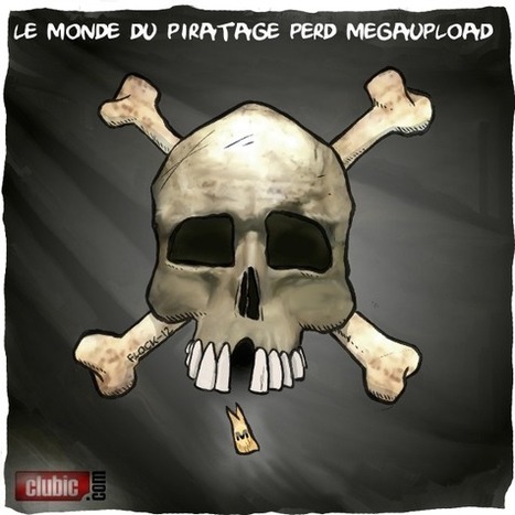 Fin de Megaupload : pour Flock ça ne changera pas grand chose | Education & Numérique | Scoop.it