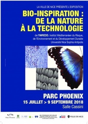 BIO INSPIRATION – DE LA NATURE À LA TECHNOLOGIE à Nice | IMREDD | Scoop.it