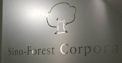 Sino-Forest Executives Committed Fraud in Overstating Value, Canadian Regulator Says | Timberland Investment | Scoop.it